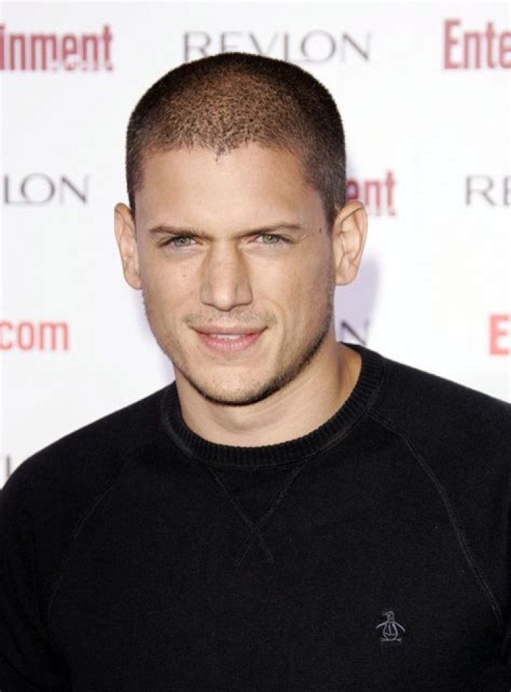 Wentworth Miller Gay — Celebs React On Twitter – Hollywood Life