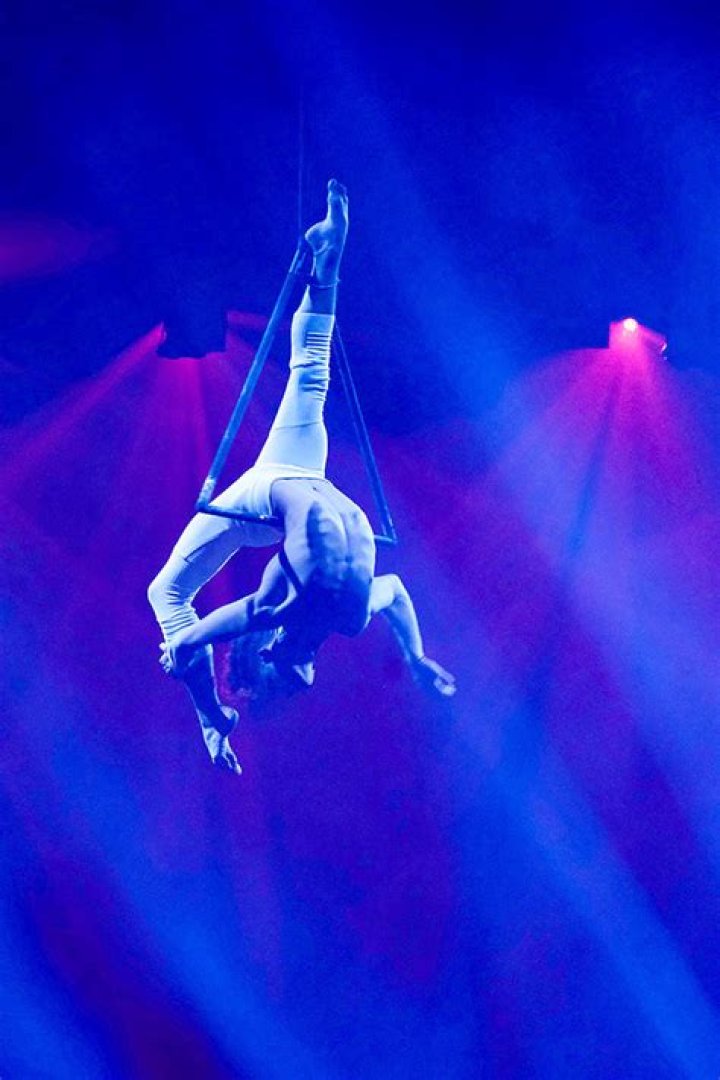 All-Stars’ Winner – Hollywood Life