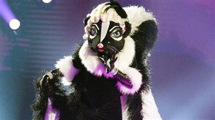 Who Is Skunk On ‘The Masked Singer’? Key Clues About Her Identity – Hollywood Life