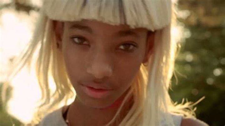 [VIDEO] Willow Smith ‘Summer Fling’ — 12-Year-Old Sings Controversial Lyrics – Hollywood Life