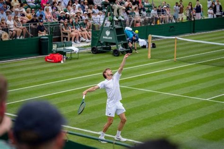 Wimbledon 2015 — PICS